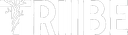 TRIIBE